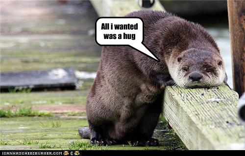 Funny Otter pics1.jpg